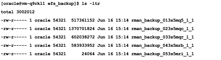 This screenshot shows how to verify RMAN backups are stored on EFS.