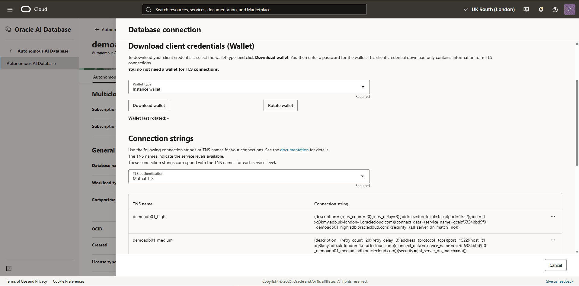 This screenshot shows the database connection.