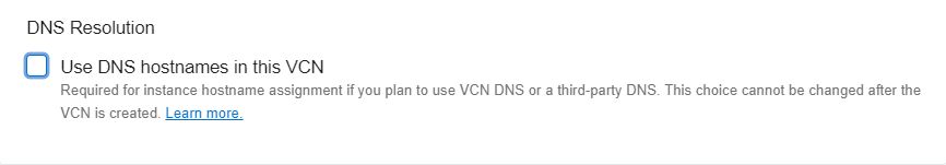 Picture shows the USE DNS HOSTNAMES IN THIS VCN option is unchecked.