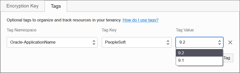 Setting an appropriate application tag key in the Oracle-ApplicationName tag namespace.