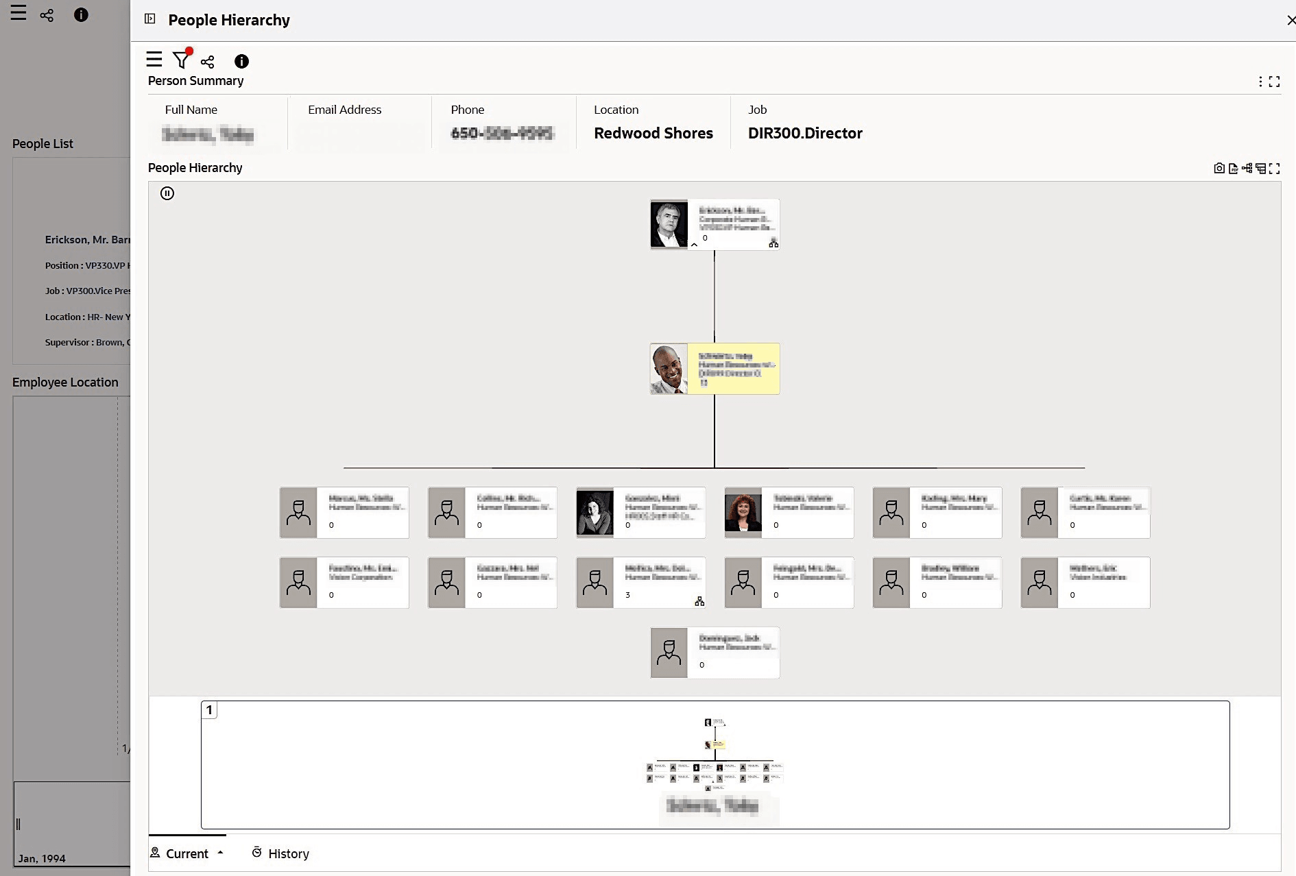 Example of a Hierarchical View with Default Images