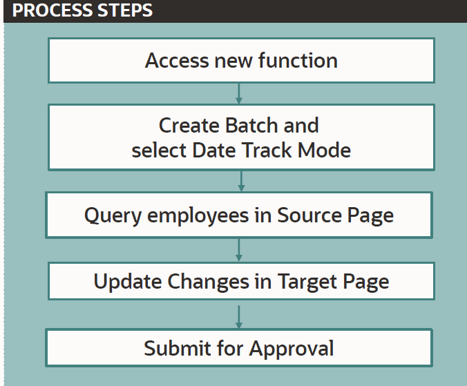  Mass Update Process