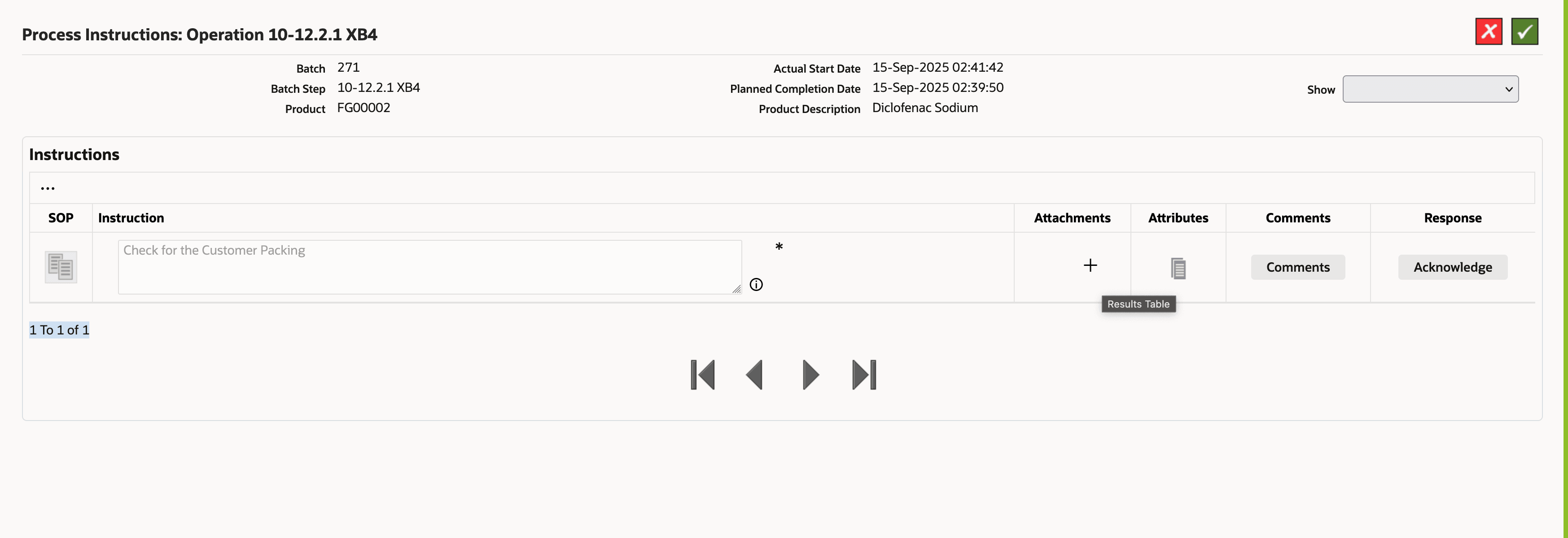 Execute Process Instruction