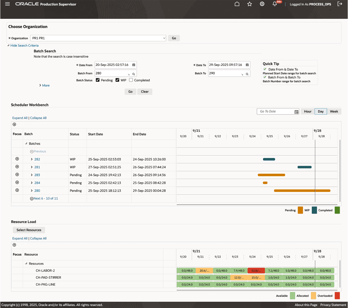 Combined Gantt and Resource Load Interface