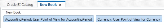 New Book tab showing the AccountingPeriod and User Points of view