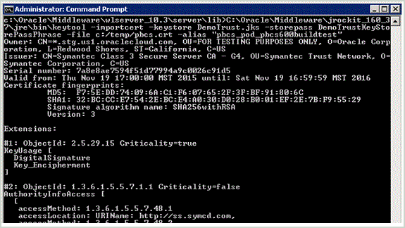 Image shows Administrator: Command Prompt