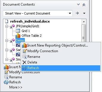 Report query for a function grid selected for Refresh in the Document Contents pane Report query for a function grid selected for Refresh in the Document Contents pane