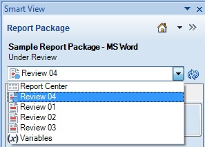 The Content Selector in the Smart View Panel, showing that Review 04 is selected. The Content Selector in the Smart View Panel, showing that Review 04 is selected.