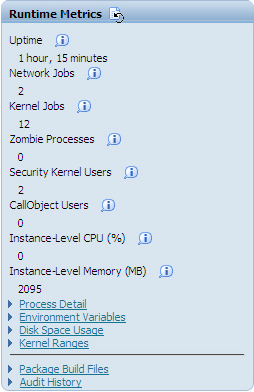 Runtime Metrics Section.