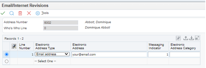 Email/Internet Revisions Window