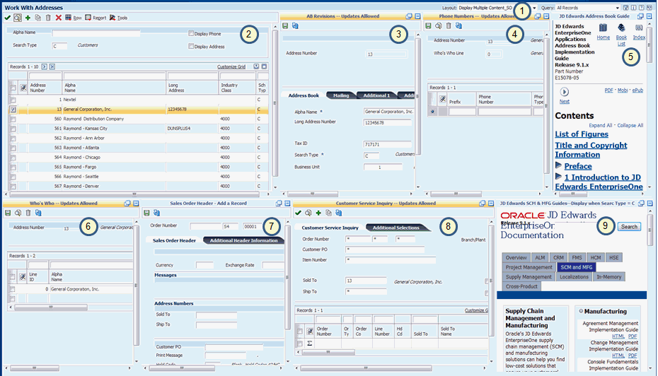 Composite Application Framework Layout with Embedded EnterpriseOne Forms and Web Pages