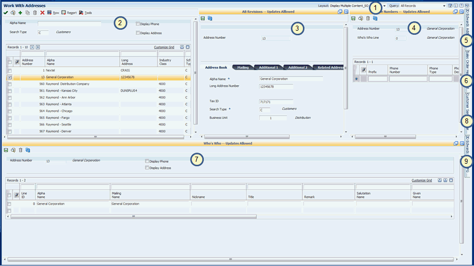 Composite Application Framework Layout Showing Embedded EnterpriseOne Form Being Modified