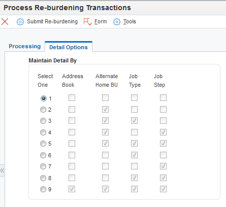 Process Re-burdening Transactions form: Detail Options tab