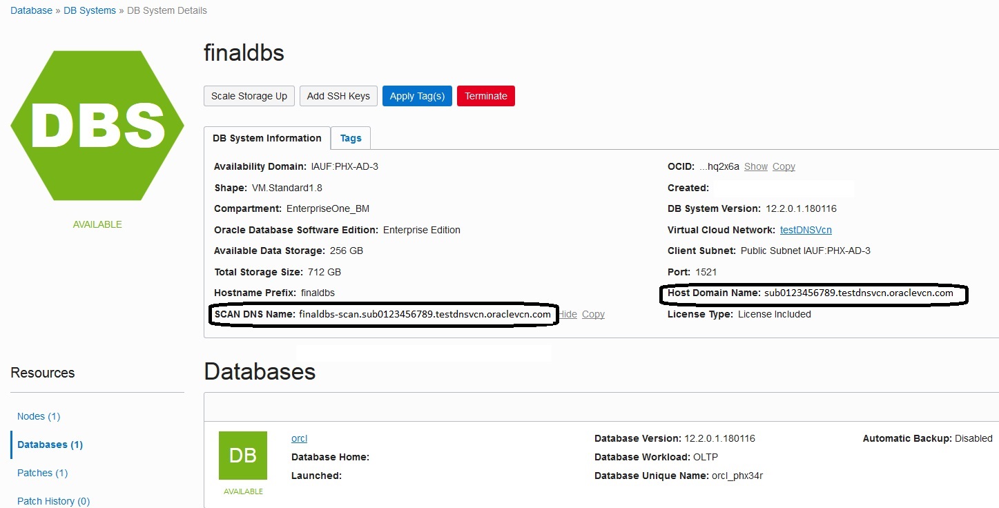 DB System - Scan DNS Name and Host Domain Name Fields