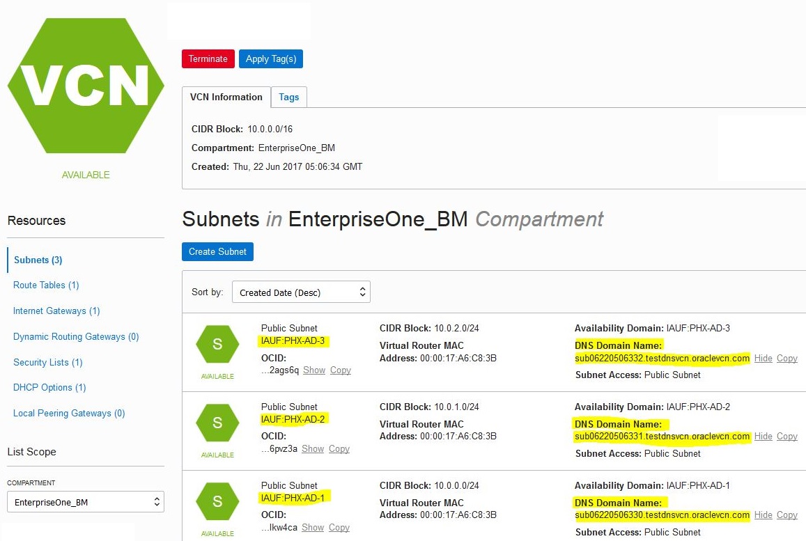 VCN Subnets - DNS Domain Names Highlighted for Each Availability Domain