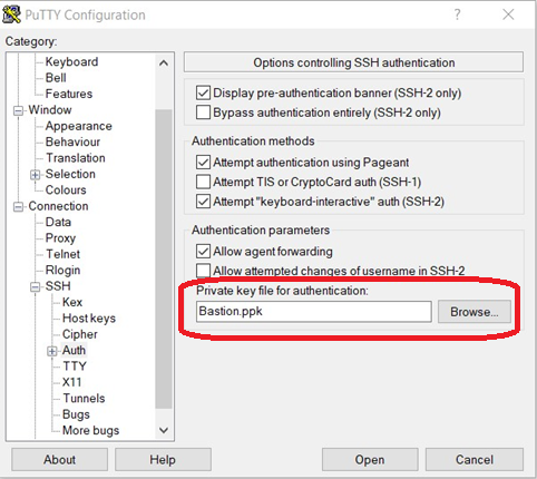Options Controlling SSH–Private Key File for Authentication