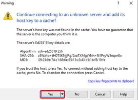 Unknown Server - Click Yes