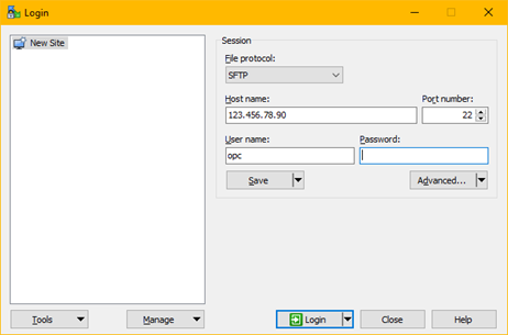 This image is described in surrounding text.