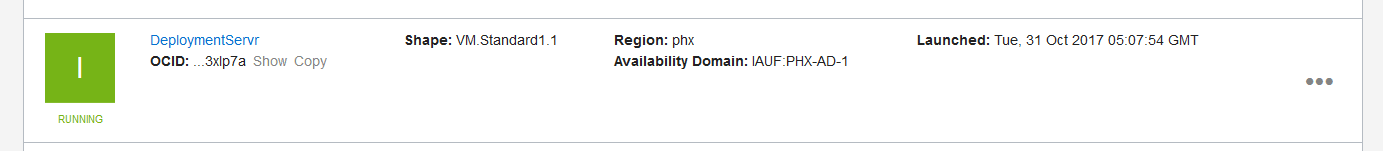 deployment_server_instance