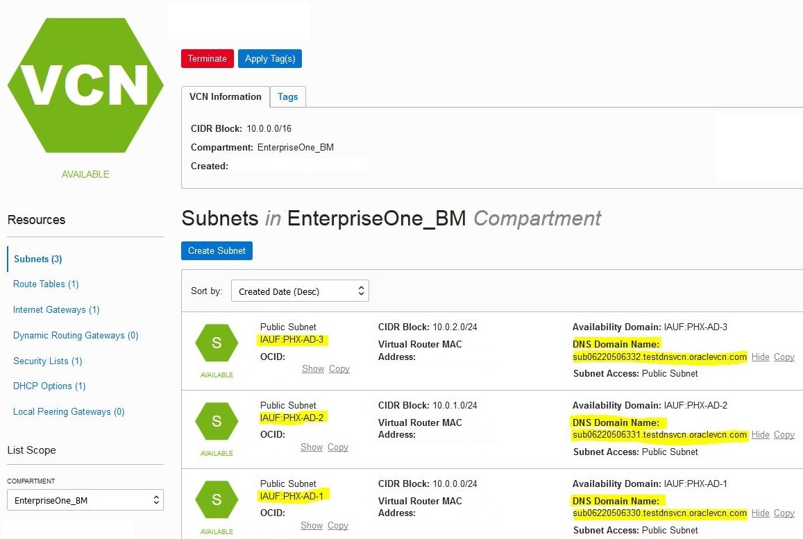 VCN Subnets - DNS Domain Names Highlighted for Each Availability Domain