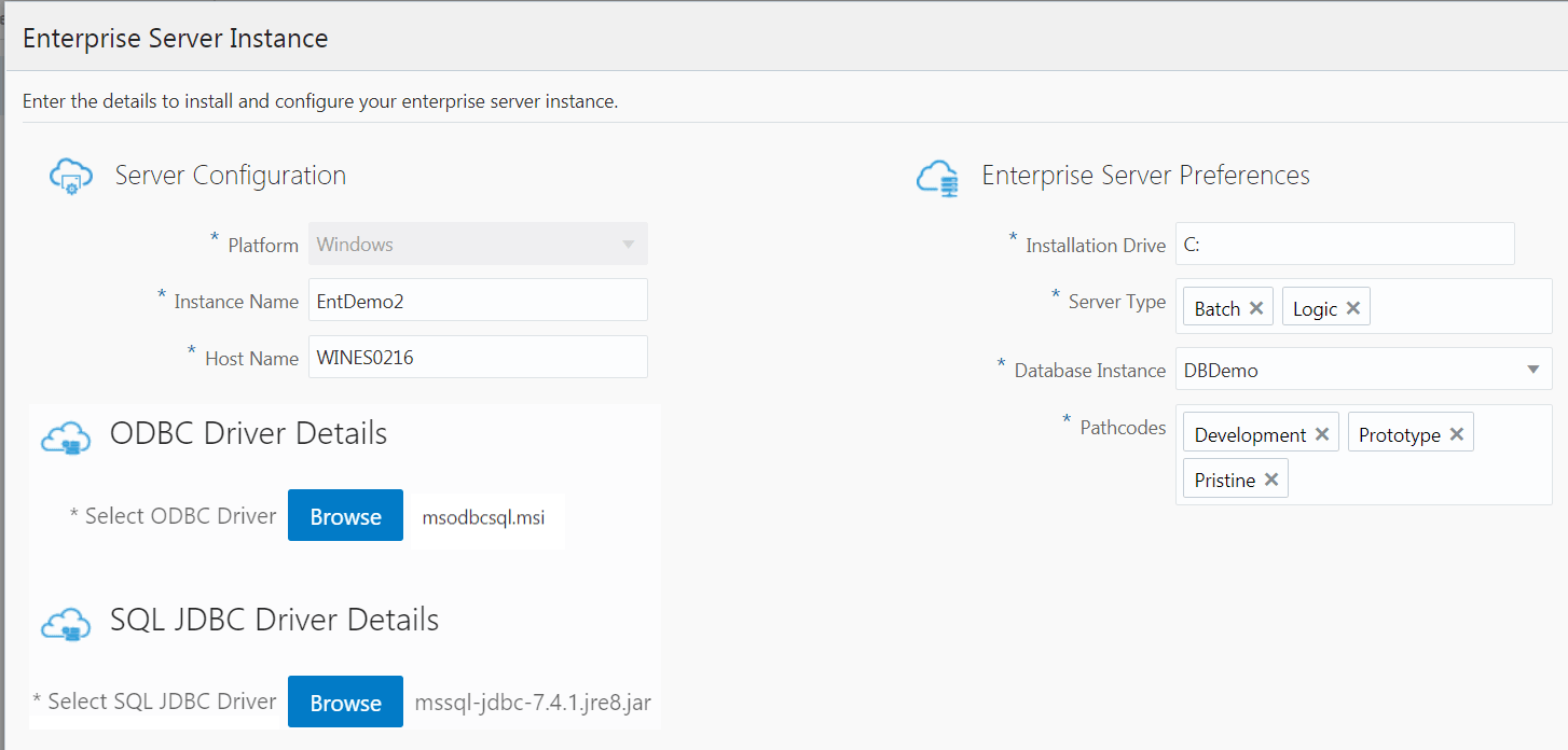 Enterprise Server Instance Details Window