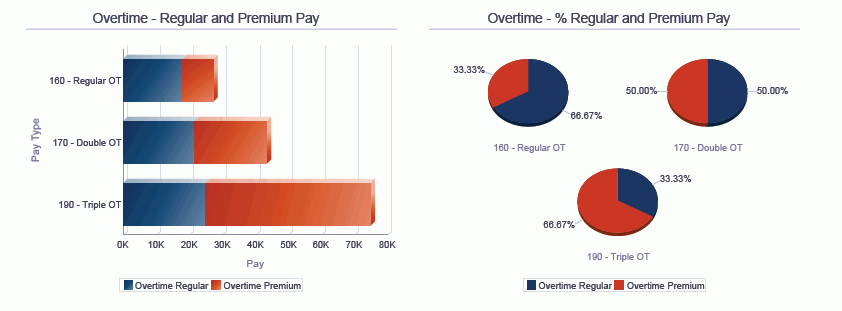 Pay History Analysis Report.
