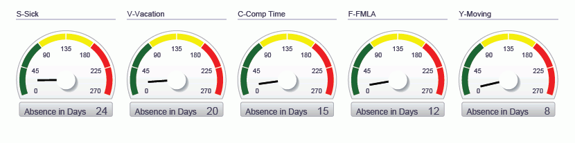 Pay History Analysis Report.