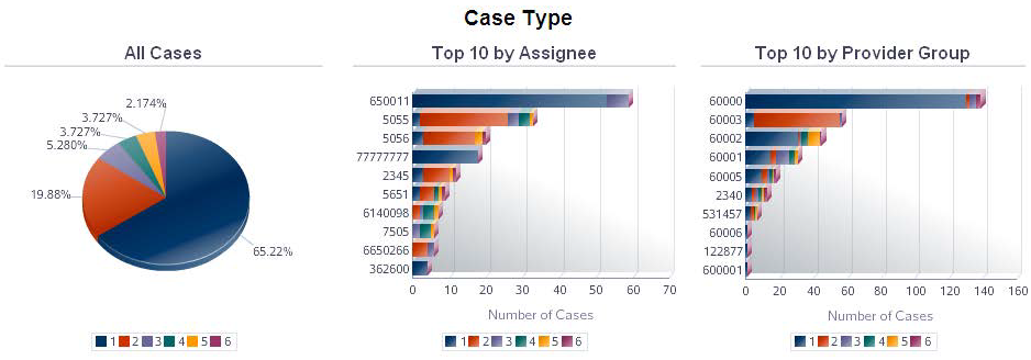 Case Statistics Report.