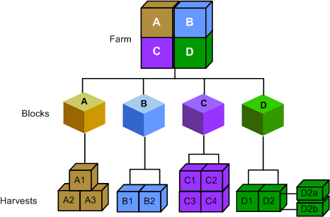 Farm, Block, and Harvest Relationships.