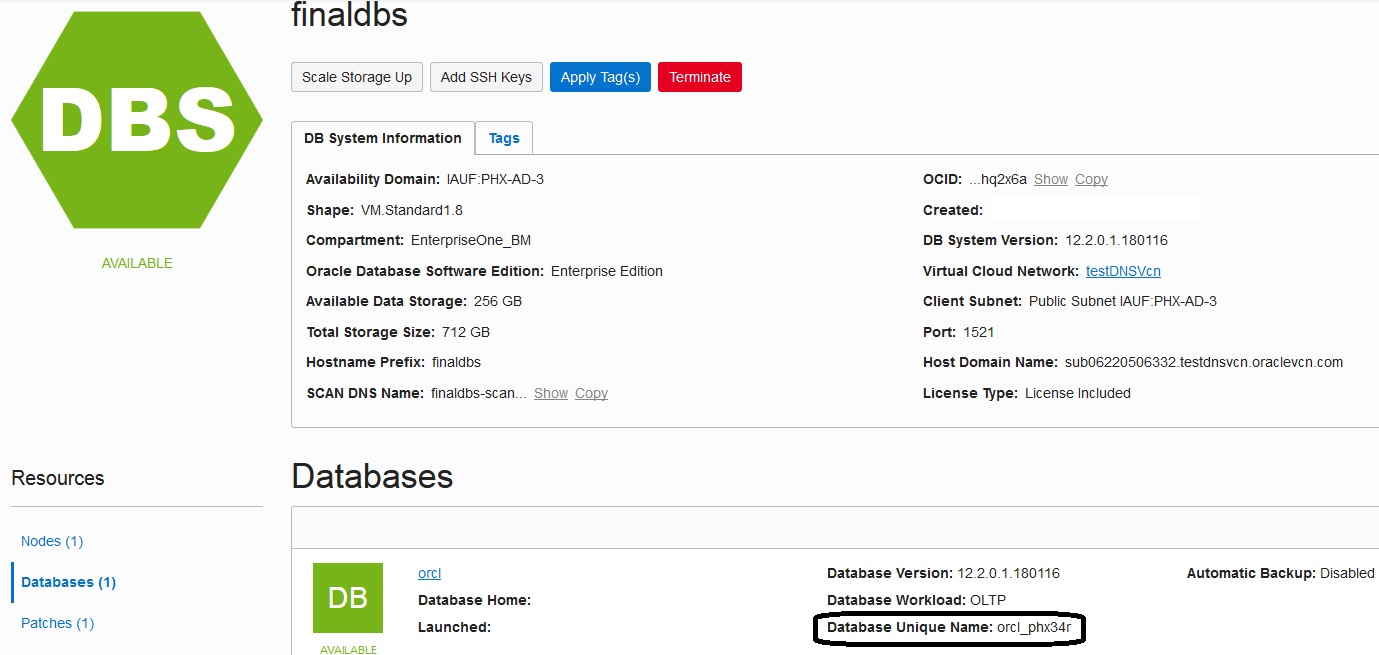 DB System - Database Unique Name