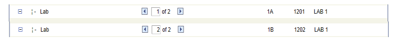 Example of labs for individual graded section setting