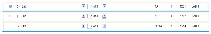 Example of labs for session setting