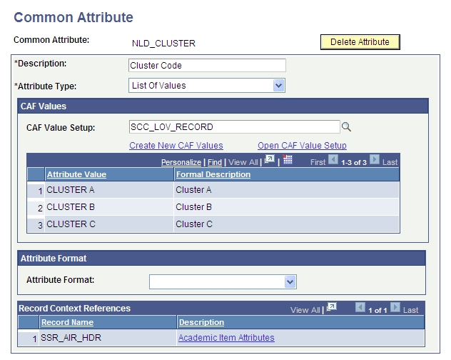 Common Attribute page
