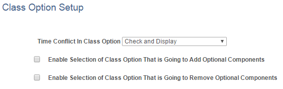 Class Option Setup page Class Option Setup page