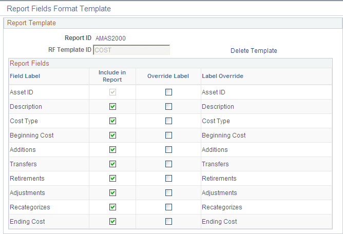 Report Fields Format Template page