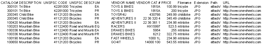 Sample partner source data file
