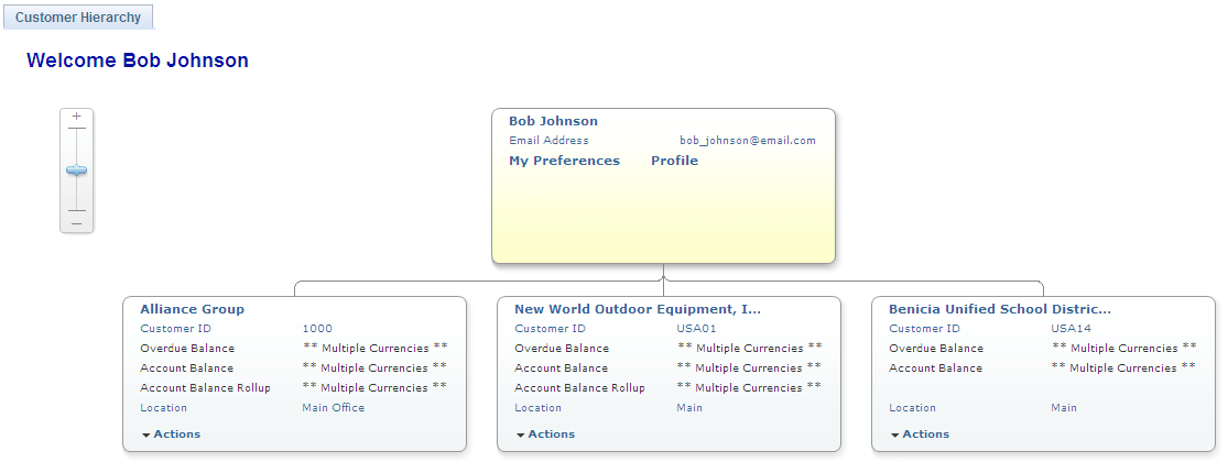 Customer Hierarchy page