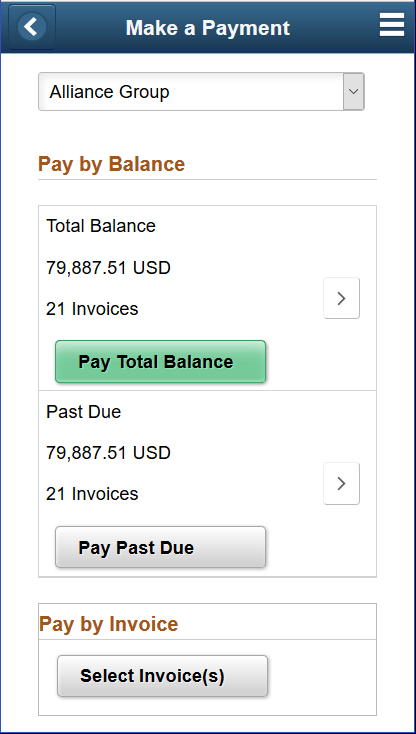 Make a Payment page (SFF)