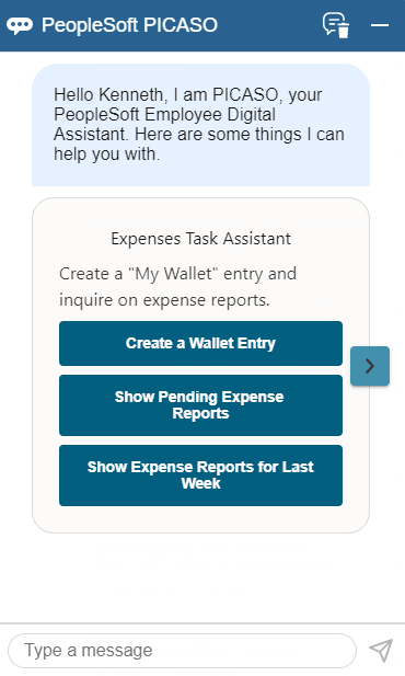 Expenses Skill landing page