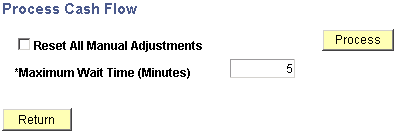 Process Cash Flow page