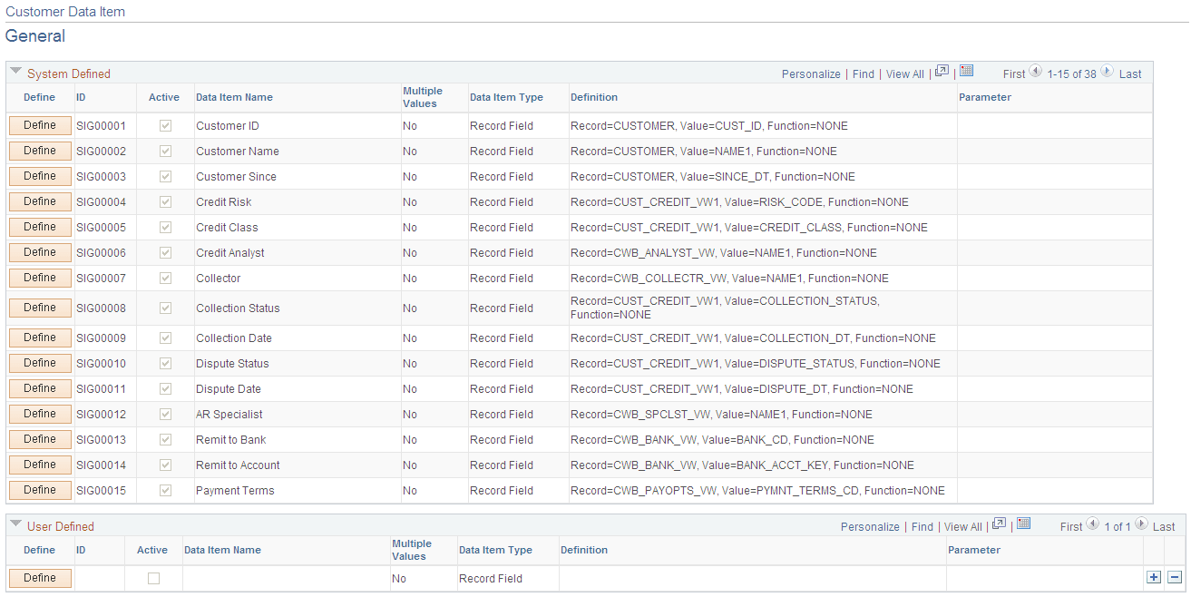 Customer Data Item page