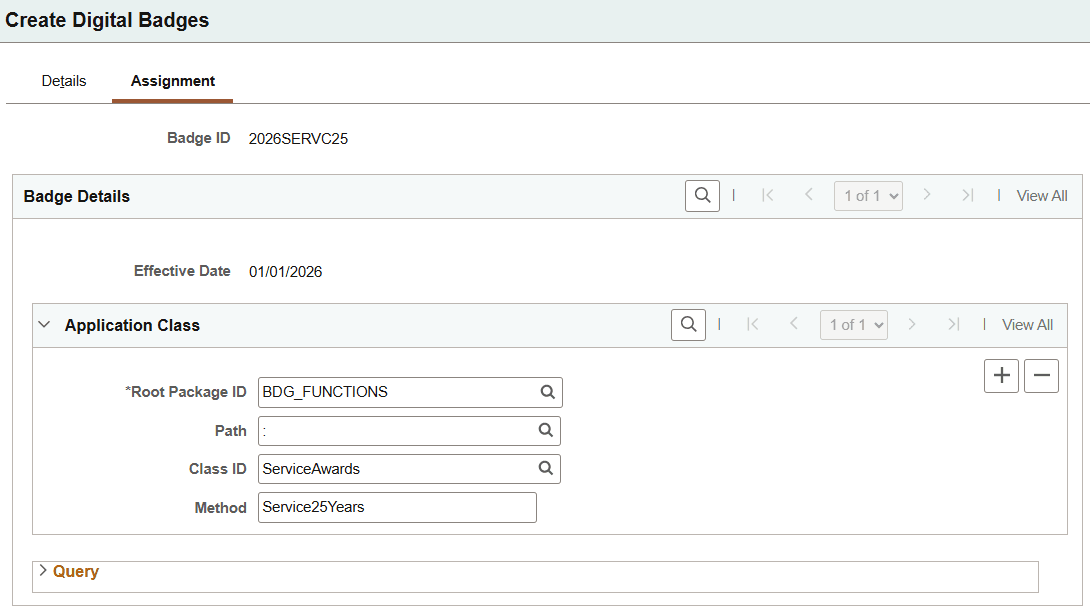 Create Digital Badges - Assignment page displaying the Application Class section Create Digital Badges - Assignment page displaying the Application Class section