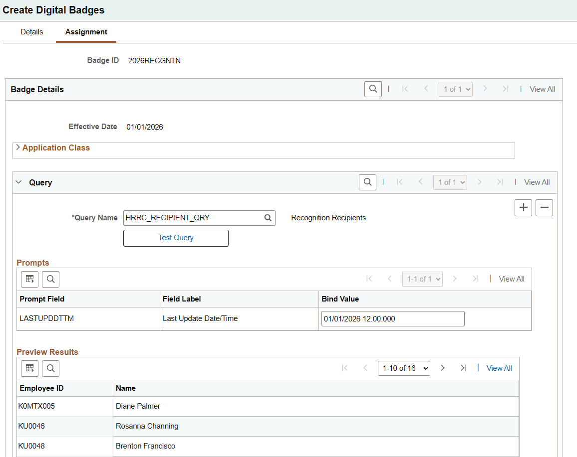 Create Digital Badges – Assignment page displaying the Query section Create Digital Badges – Assignment page displaying the Query section