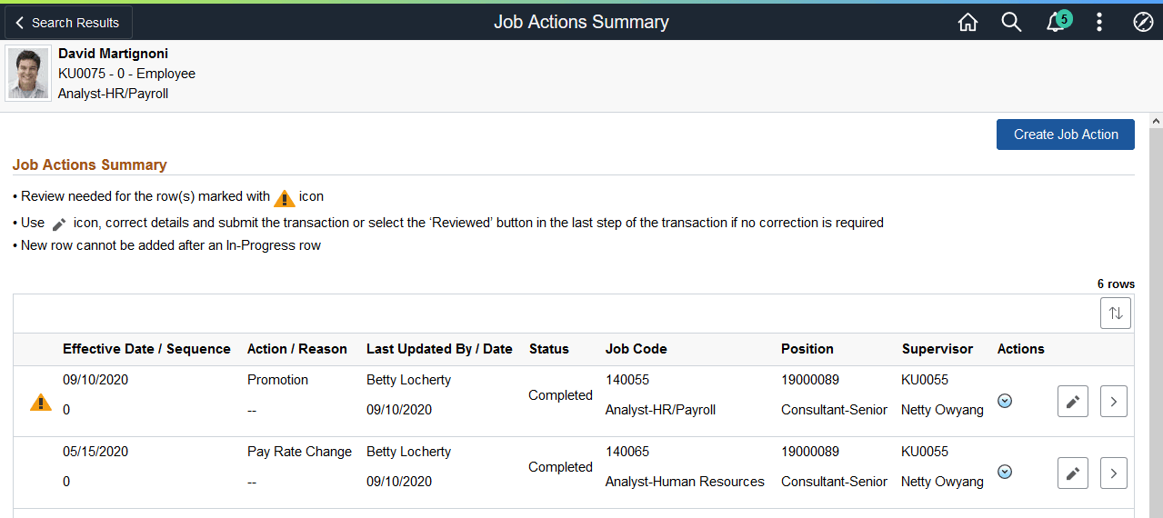 Job Actions Summary page showing rows that need to be reviewed Job Actions Summary page showing rows that need to be reviewed