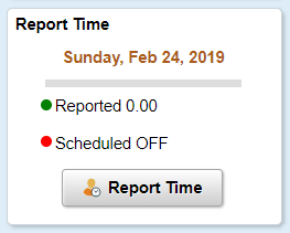 Report Time Tile for Elapsed time reporters