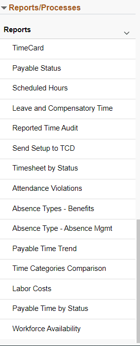 Time and Labor Reports/Processes group box Time and Labor Reports/Processes group box