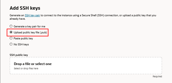 Create Compute Instance page, Assign SSH keys