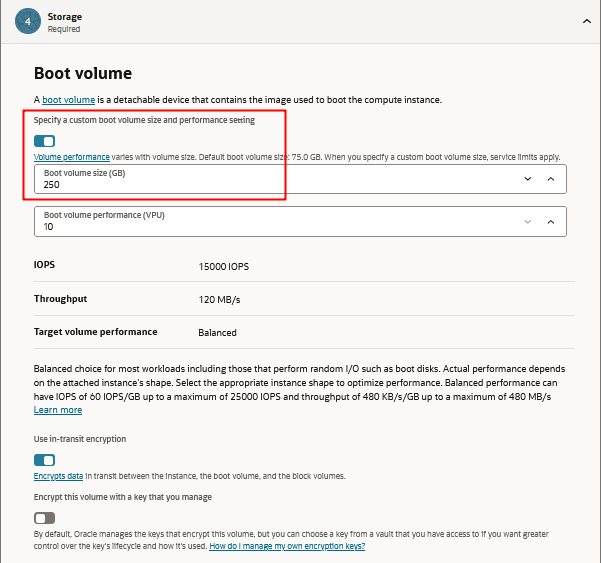 Create Compute Instance, Storage page, select Custom boot volume size