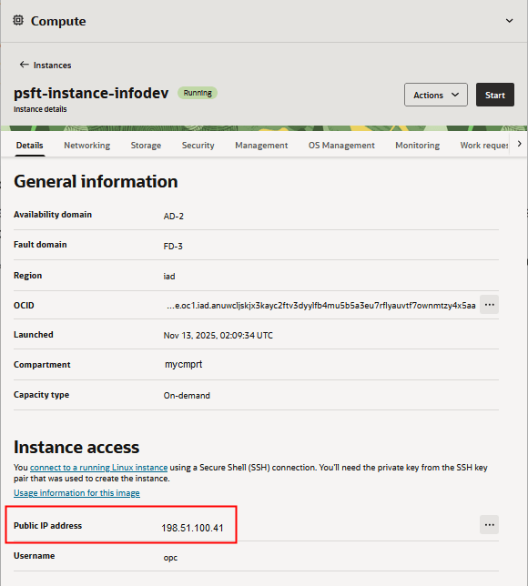 Instance details page, Details tab