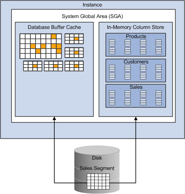 Dual Memory Formats in the Oracle Database Dual Memory Formats in the Oracle Database